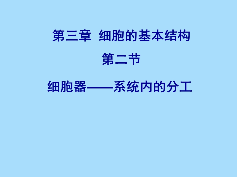 细胞器的分工.ppt_第1页