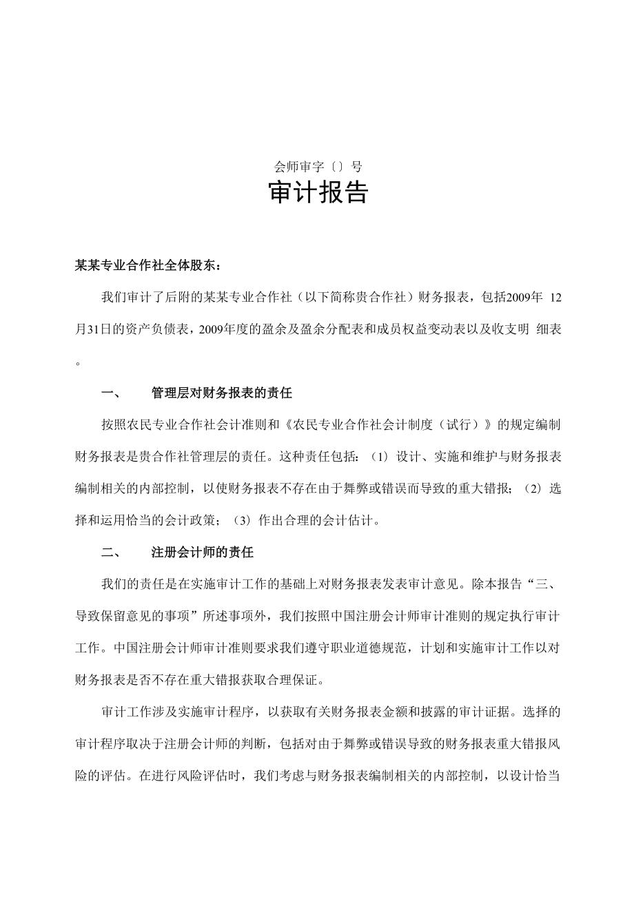 专业合作社审计报告范文.docx_第1页