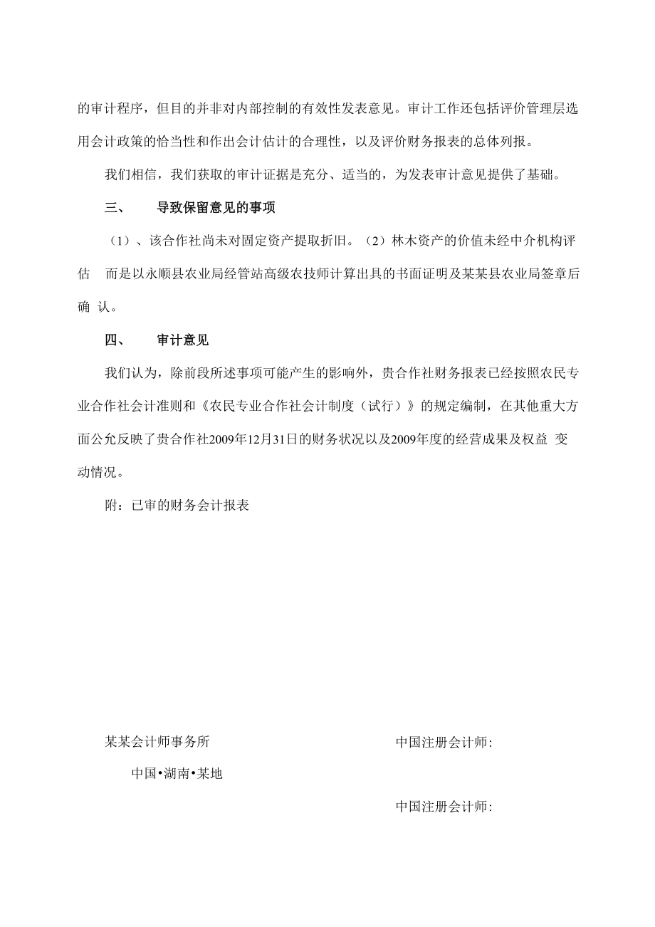 专业合作社审计报告范文.docx_第2页