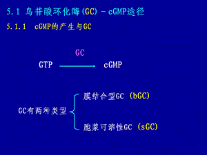 生物化学细胞内信息传递途径.ppt