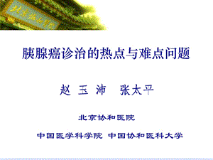 胰腺癌诊治的热点与难点问题.ppt