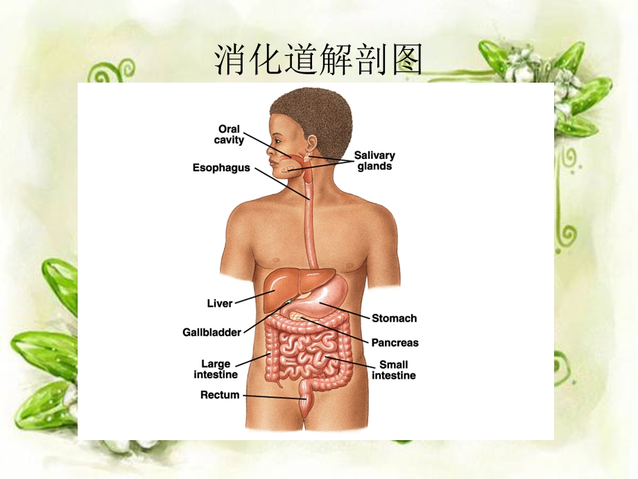 肠穿孔的护理查房.ppt_第2页