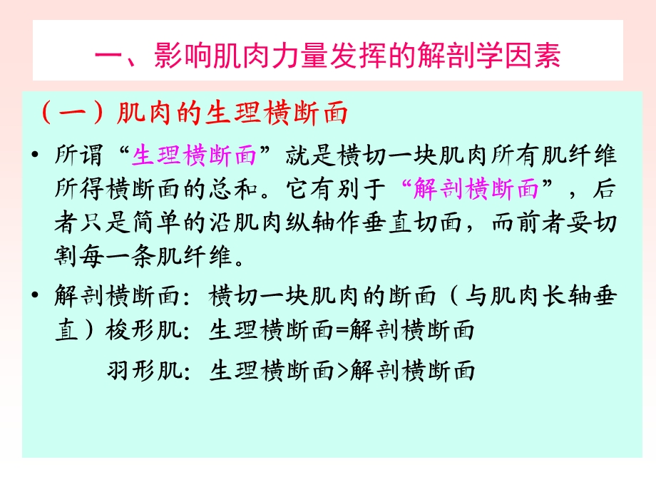 肢肌肉力量和柔韧性训练的解剖学依据与方法.ppt_第3页