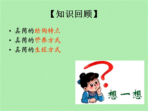 细菌和真菌自然界中的作用讲.ppt