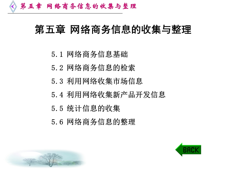 网络商务信息的收集与整理.ppt_第1页