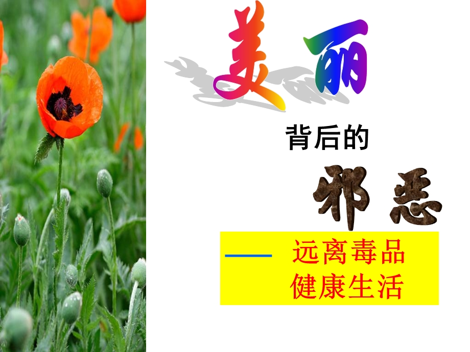 珍爱生命远离毒品主题班会.ppt_第1页