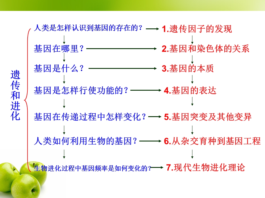 1.1孟德尔的豌豆杂交试验改.ppt_第1页