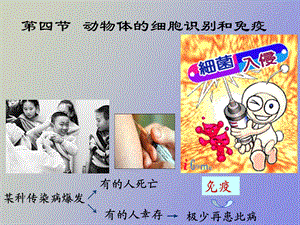 细胞识别和免疫.ppt