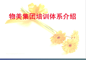 物美培训体系介绍.ppt