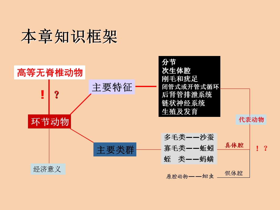 真体腔分节环节动物门.ppt_第3页