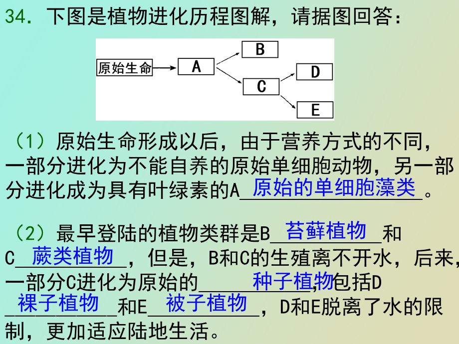 自然选择和生态系统.ppt_第3页