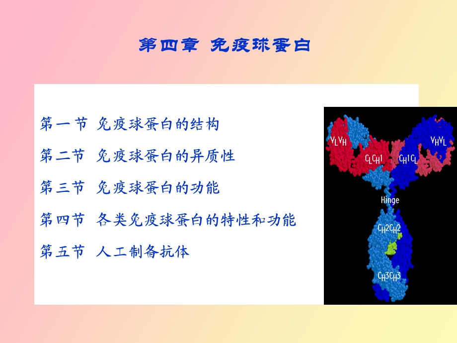 疫球蛋白医药免疫学.ppt_第1页