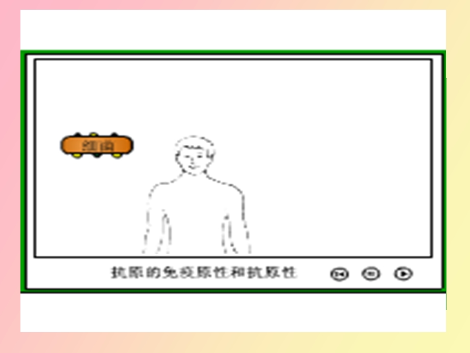 疫球蛋白医药免疫学.ppt_第2页