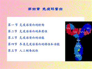 疫球蛋白医药免疫学.ppt