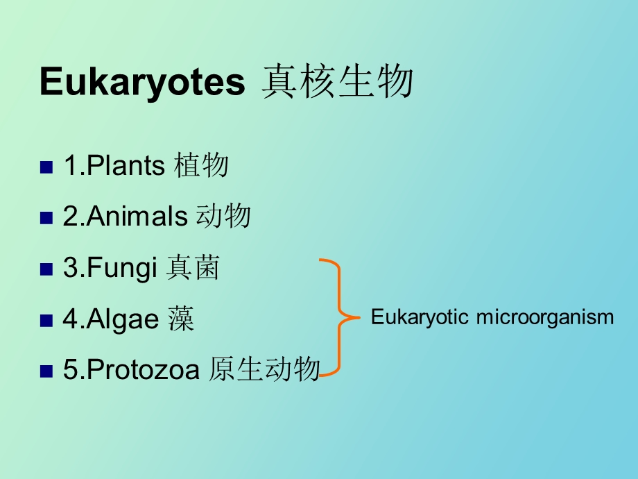 真核微生物形态结构.ppt_第2页