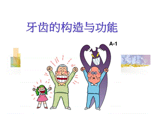 【幼儿园健康教育PPT课件】牙齿的构造与功能.ppt