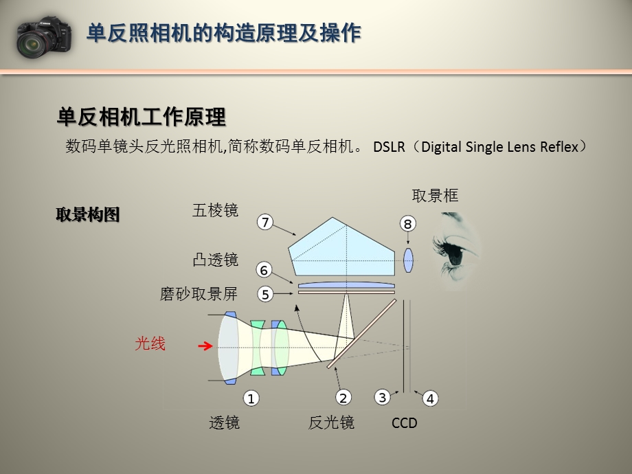 单反操作.ppt_第2页