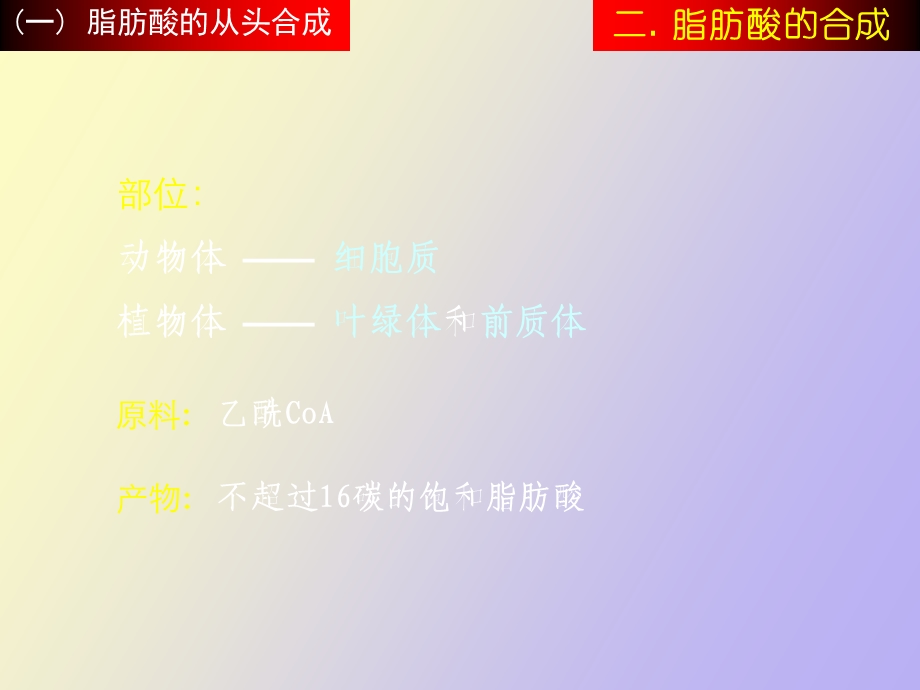 脂肪酸的合成代谢.ppt_第3页