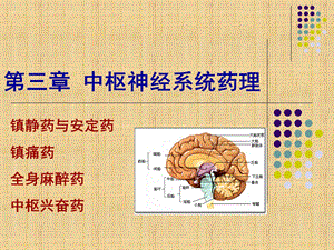 药理学第三章中枢神经系统药理.ppt