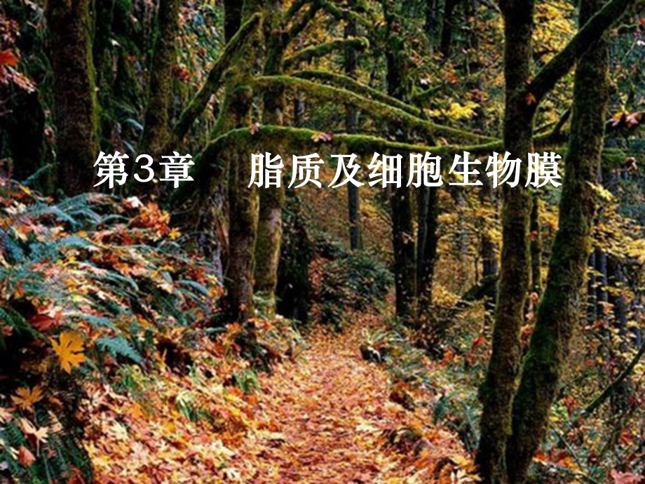 脂质及细胞生物膜.ppt_第1页