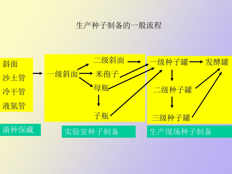 种子制备与菌种保藏.ppt_第3页