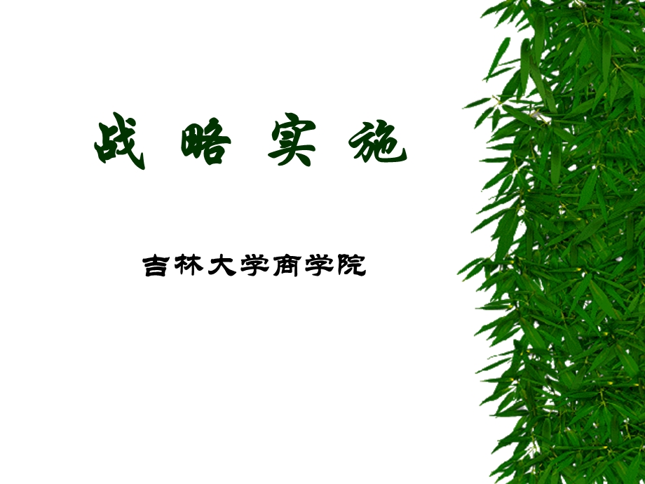 战略实施.ppt_第1页