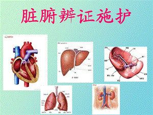 脏腑辩证施护总纲.ppt