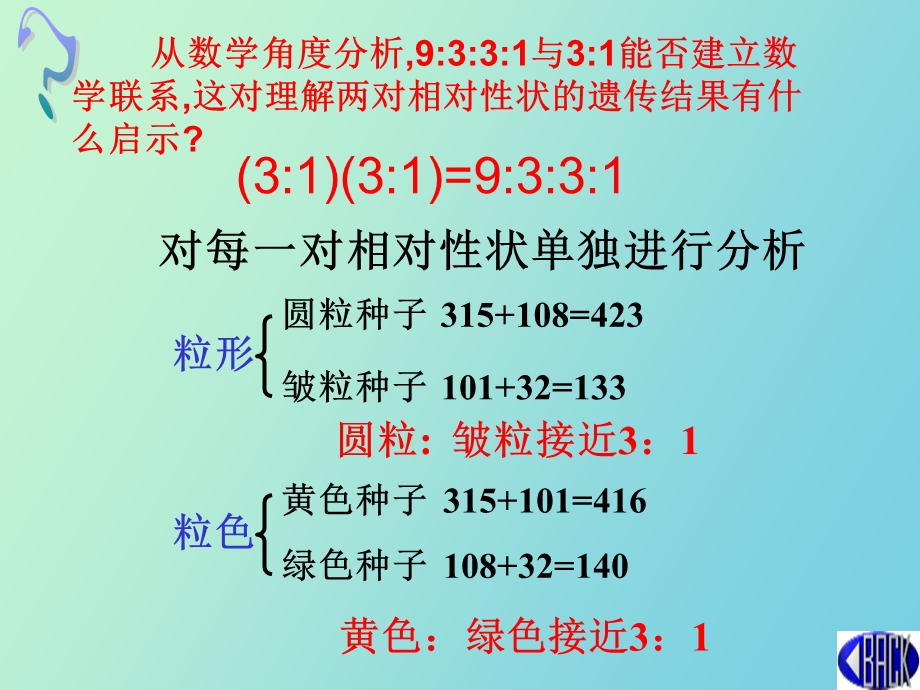 自由组合规律重整版.ppt_第3页