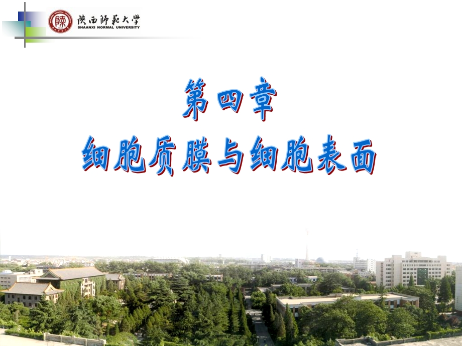 细胞质膜与细胞表面.ppt_第1页