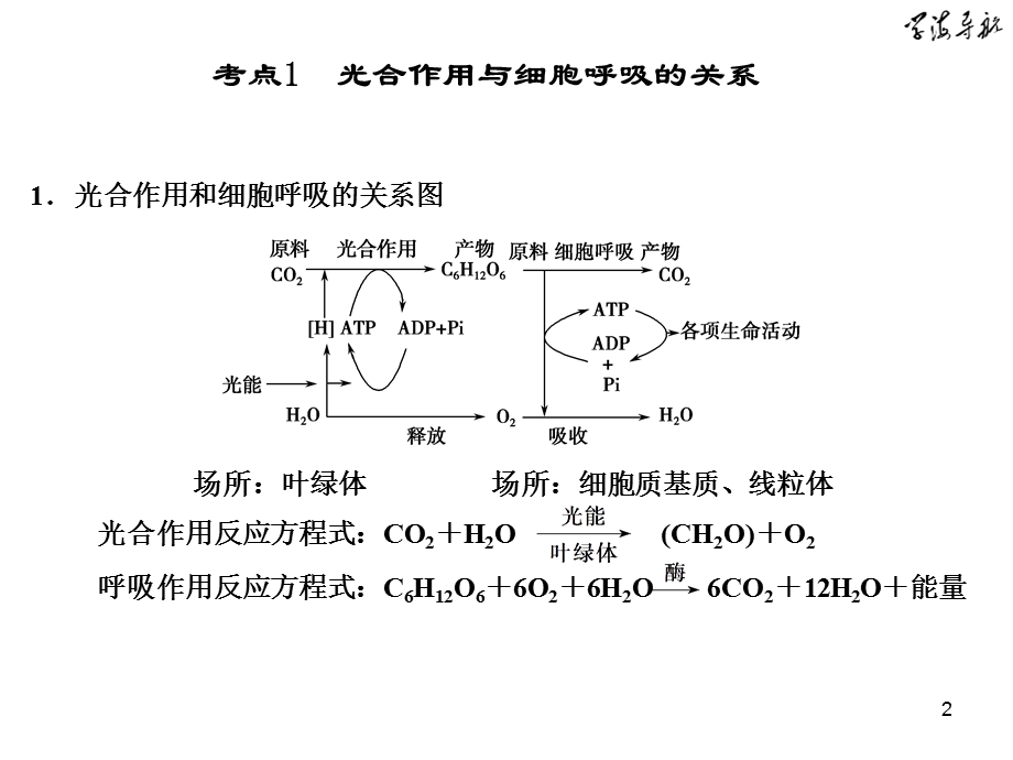 细胞的代谢光合与呼吸.ppt_第2页