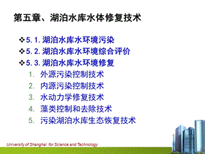 湖泊水环境修复技术.ppt