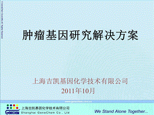 肿瘤基因研究解决方案讲座.ppt