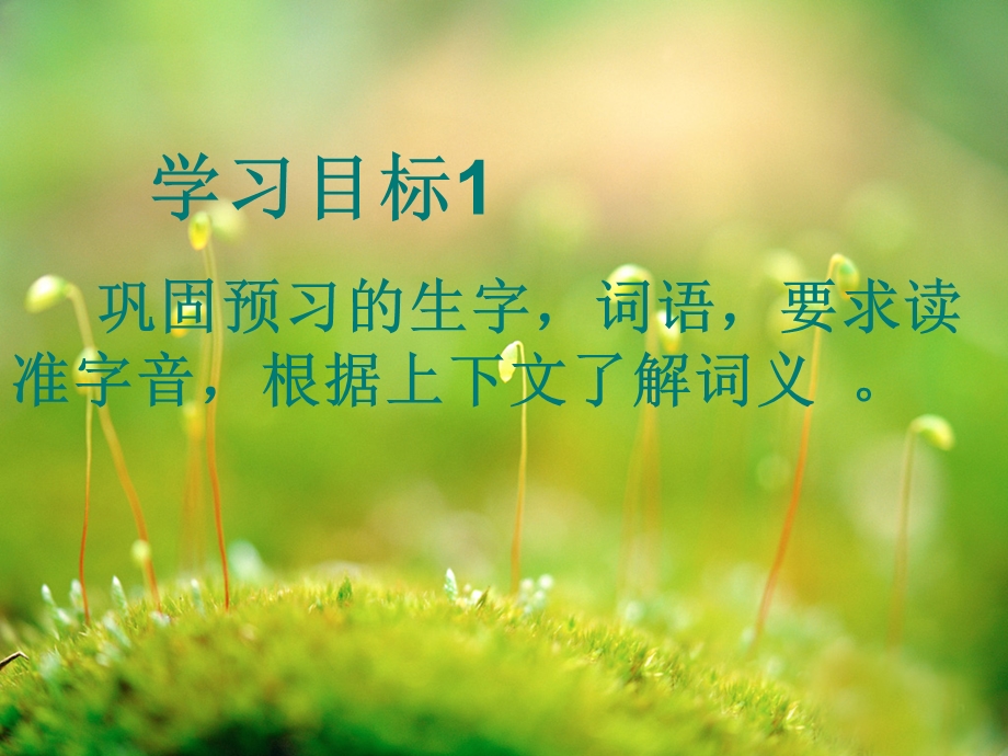 草虫的村落课件.ppt_第2页