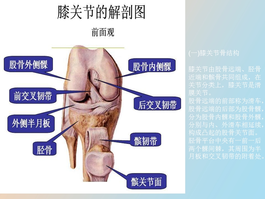 膝关节镜手术后的康复.ppt_第2页