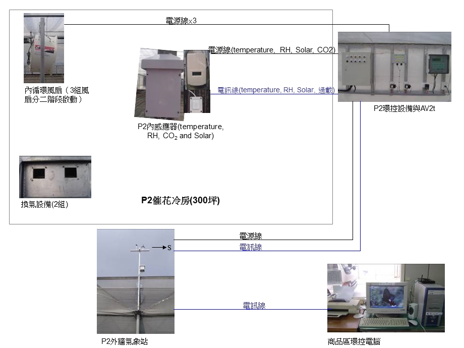 804雙層充氣式蝴蝶蘭催花溫室用電量與溫度分佈調查.ppt_第2页