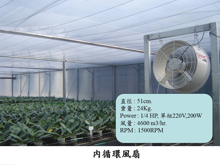 804雙層充氣式蝴蝶蘭催花溫室用電量與溫度分佈調查.ppt_第3页