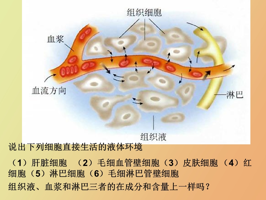 稳态和免疫调节.ppt_第3页