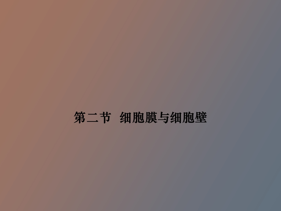 细胞膜和细胞壁.ppt_第1页