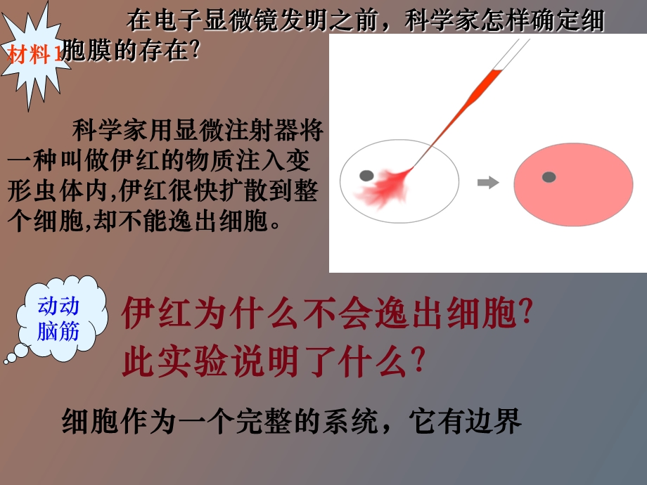 细胞膜和细胞壁.ppt_第2页