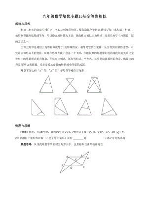 专题15从全等到相似.docx