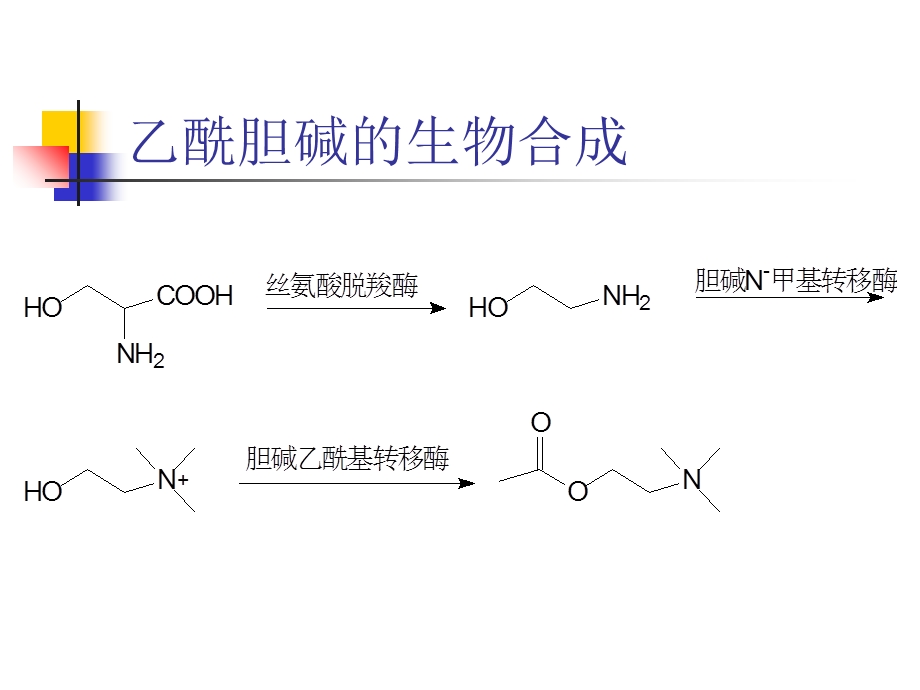 药物化学课件第三章外周神经系统药物.ppt_第3页