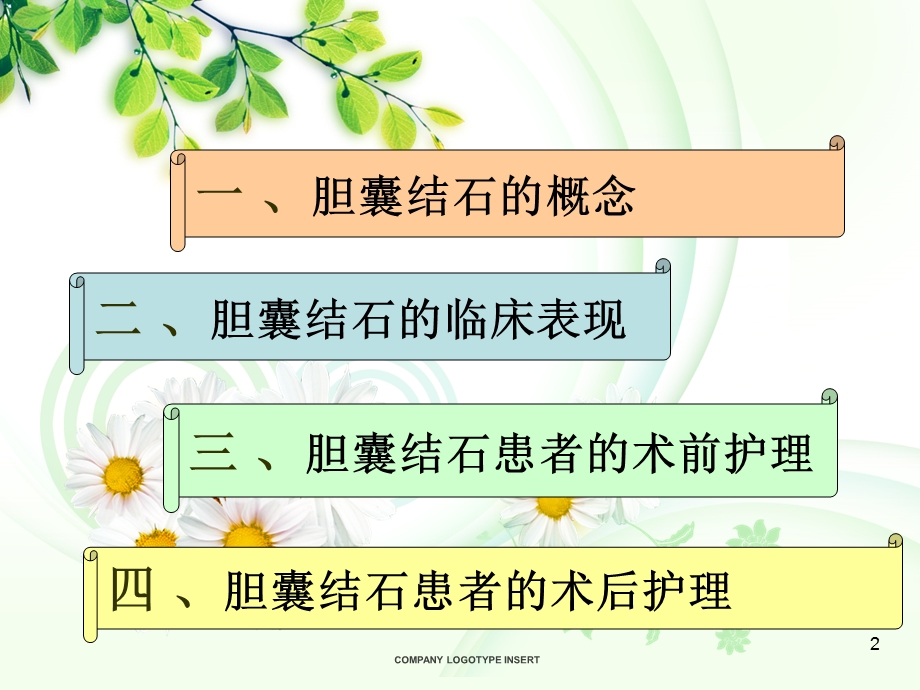 胆囊结石围手术期护理.ppt_第2页