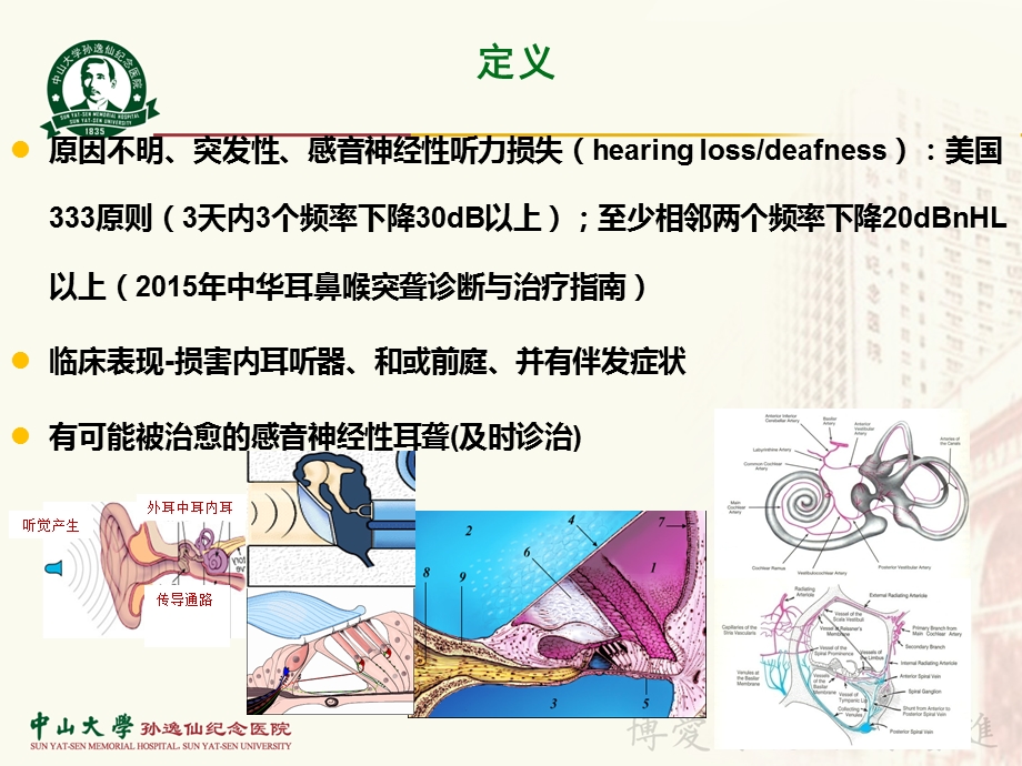 突发性耳聋的诊疗进展及指南解读.ppt_第2页