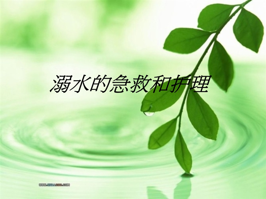 溺水的急救和护理.ppt_第1页