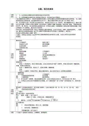 中班：我们的身体 主题说明.docx