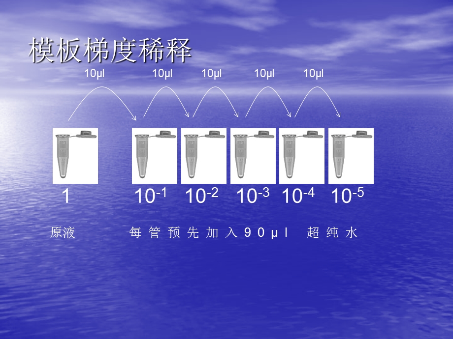 荧光定量PCR反应体系配制.ppt_第2页