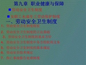 职业健康与保障.ppt