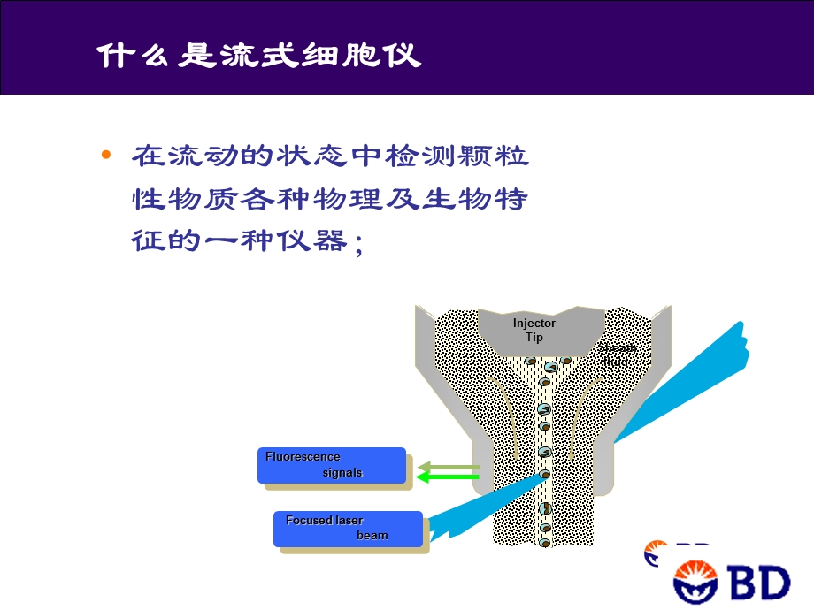 荧光染料选择和数据分析.ppt_第3页