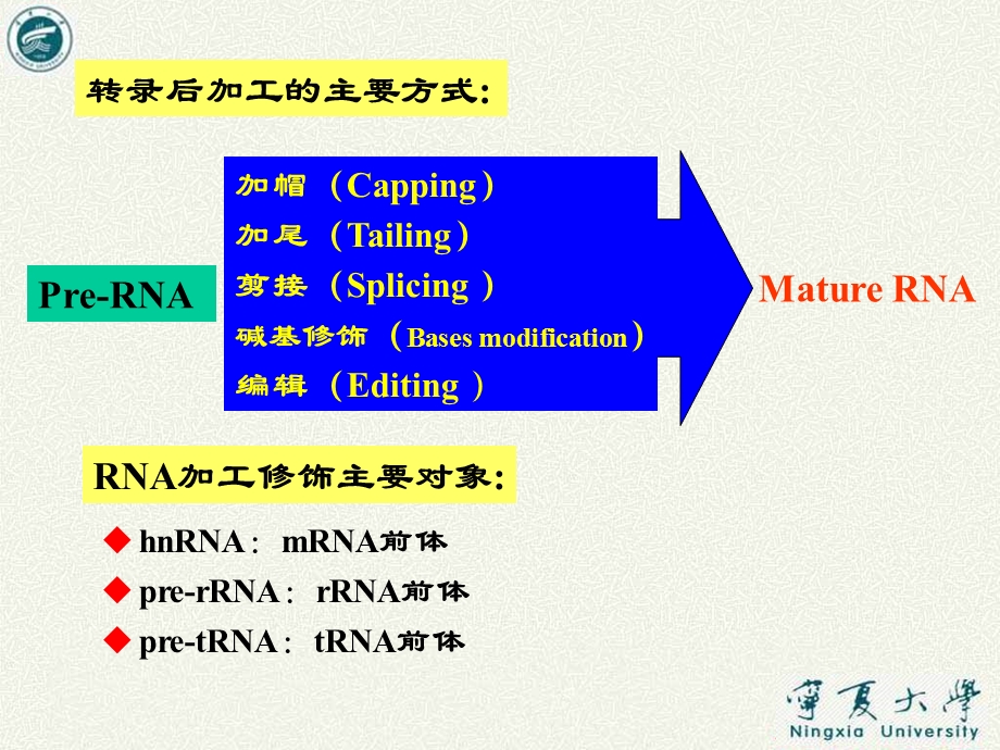 真核生物转录后的加工.ppt_第3页