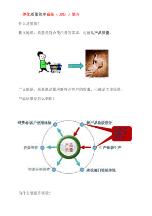 一体化质量管理系统.docx